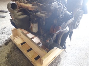 Used 1998 Cummins B5.9 Engine Assy (Stock #TA113-21)) Part Image
