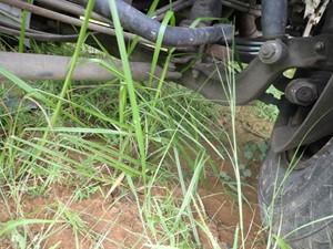Used 2005 Isuzu NPR Front Axle, Complete (Stock #TA097-1)) Part Image