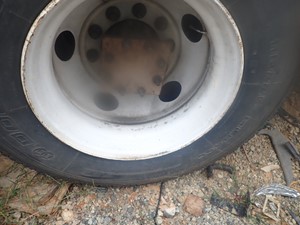 Used 2007 22.5" 22.5 X 8.25 Wheel (Stock #TA112-4)) Part Image