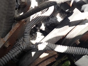 Used 2012 International PROSTAR A/C Compressor (Stock #TA010-7)) Part Image