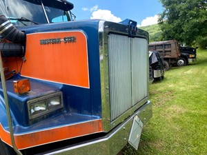 Used 1989 Western Star 4800 Hood (Stock #bdy-0178)) Part Image