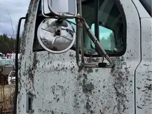 Used 1999 Sterling L7501 Door (Stock #496A P/S DOOR)) Part Image