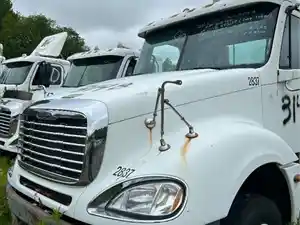 Used 2006 Freightliner COLUMBIA 120 Hood (Stock #314B HOOD)) Part Image