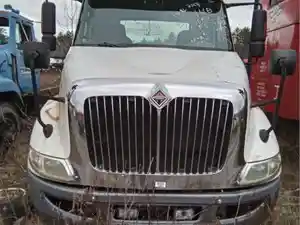 Used 2009 International 8600 Hood (Stock #161B HOOD)) Part Image