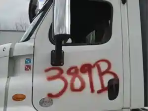 Used 2013 Freightliner Cascadia 113 Door (Stock #389B D/S DOOR)) Part Image