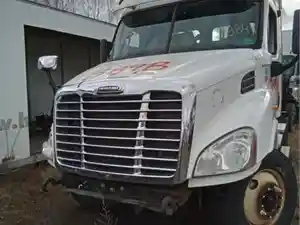 Used 2013 Freightliner Cascadia 113 Hood (Stock #389B HOOD)) Part Image