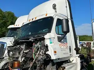 Used 2015 Freightliner Cascadia 125 Cab (Stock #044B CAB)) Part Image