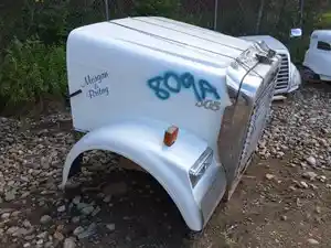 Used 1998 Freightliner FLD120 Hood (Stock #809A HOOD)) Part Image