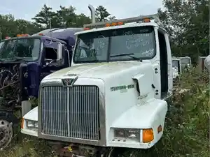 Used 2002 Western Star 4900 SA Hood (Stock #126B HOOD)) Part Image