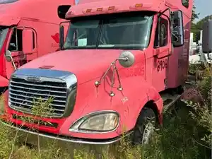 Used 2008 Freightliner COLUMBIA 120 Hood (Stock #890A HOOD)) Part Image