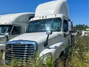 Used 2009 Freightliner Cascadia 125 Hood (Stock #145B HOOD)) Part Image