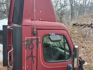 Used 2010 Freightliner Cascadia Door (Stock #787A- P/S DOOR)) Part Image