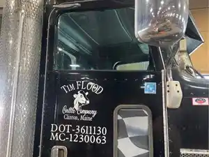 Used 2010 Peterbilt 386 Door (Stock #471B-P/S DOOR)) Part Image