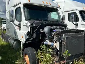 Used 2012 Freightliner Cascadia 125 Cab Image