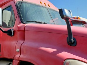 Used 2009 FREIGHTLINER Cascadia Cab Image