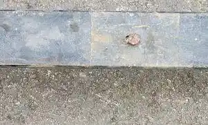 Photo of part