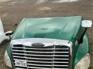 Used 2015 Freightliner Cascadia 125 Hood (Stock #311)) Part Image