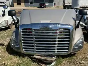 Used 2016 Freightliner Cascadia 125 Hood (Stock #313)) Part Image