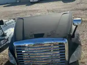 Used 2016 Freightliner Cascadia 126 Hood (Stock #354)) Part Image