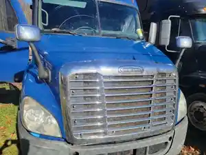 Used 2012 Freightliner Cascadia 113 Hood Image