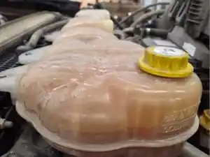 Used 2021 Freightliner Cascadia 126 Radiator Overflow Bottle (Stock #T25007-28)) Part Image
