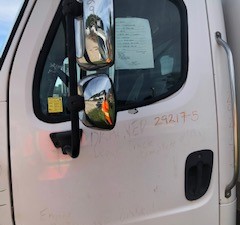 Used 2006 Freightliner M-2 Door (Stock #29217-7)) Part Image