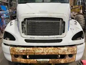 Used 2006 Freightliner COLUMBIA Hood (Stock #01226-1)) Part Image