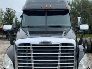 Used 2010 Freightliner Cascadia Hood (Stock #10224-1)) Part Image