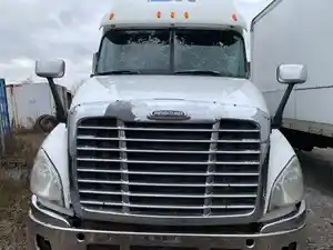 Used 2011 Freightliner Cascadia Hood (Stock #14123-1)) Part Image