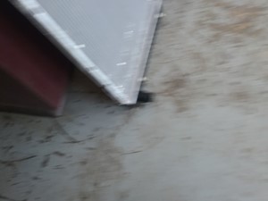 Used 2017 Chevrolet Radiator (Stock #1277)) Part Image