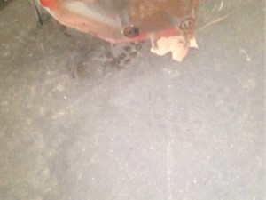 Used Cummins ISB 6.7 Engine Misc Part Image
