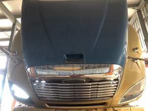 Used 2003 Freightliner COLUMBIA 120 Hood (Stock #8575)) Part Image