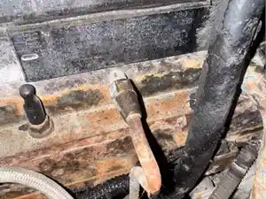 Used 1999 Cummins M11 Engine Assy (Stock #15730)) Part Image