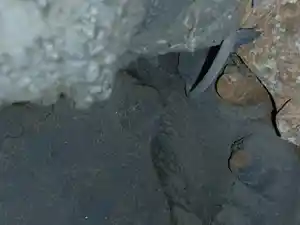 Photo of part