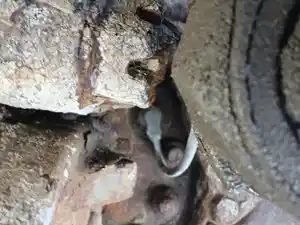 Photo of part