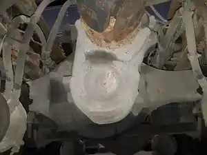 Used 2009 MERITOR MD20143 Front Rear (Tandem Front) (Stock #2A1E49112)) Part Image