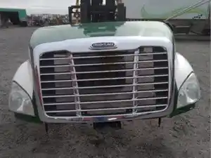 Used FREIGHTLINER CASCADIA Hood (Stock #30181)) Part Image