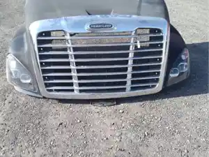 Used FREIGHTLINER CASCADIA Hood (Stock #HOODRX-100)) Part Image