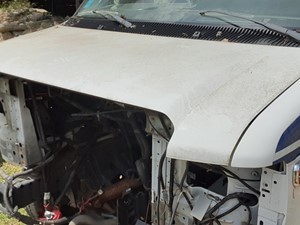Used 2017 Ford E-450 Super Duty Hood (Stock #202-C46473-8)) Part Image