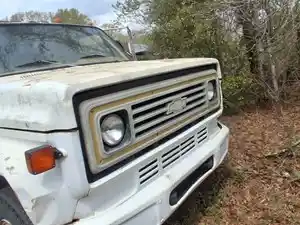 Used 1979 Chevrolet C60 Hood (Stock #251-143671-1)) Part Image