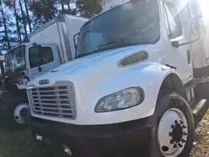 Used 2007 Freightliner M2 106 Hood (Stock #234-Y79243-1)) Part Image