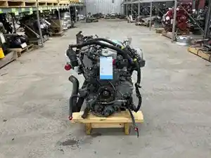 Used 2008 Mitsubishi 4M50-3AT8 Engine Assy (Stock #242-001006-1)) Part Image