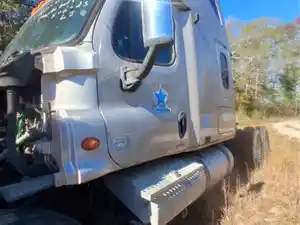 Used 2009 Freightliner Cascadia 125 Cab (Stock #252-AE8570-6)) Part Image