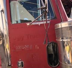 Used PETERBILT 379 Door (Stock #536020)) Part Image