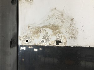 Used 2000 Kenworth W900 Cab (Stock #625-10438)) Part Image