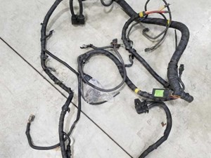 Used 2008 International 8600 Chassis Harness (Stock #555-10007)) Part Image