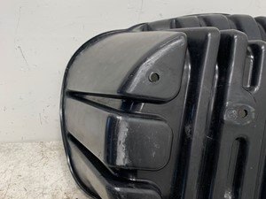Used 2016 Freightliner Cascadia Fender Extension (Stock #608-12321)) Part Image
