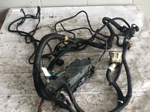 Used 2018 Freightliner Cascadia Chassis Harness (Stock #555-10208)) Part Image