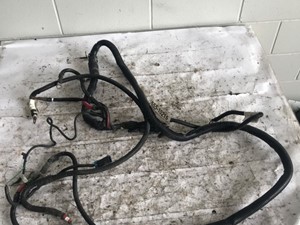 Used 2019 Paccar MX13 Chassis Harness (Stock #555-10215)) Part Image