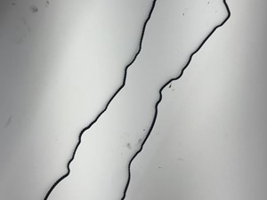 New Cummins ISL Engine Misc Part (Stock #510-16101)) Part Image